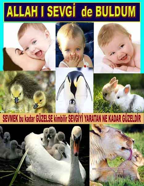 proofs of god, evidences of god