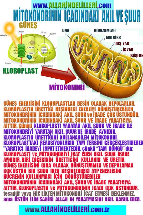proofs of god, evidences of god 