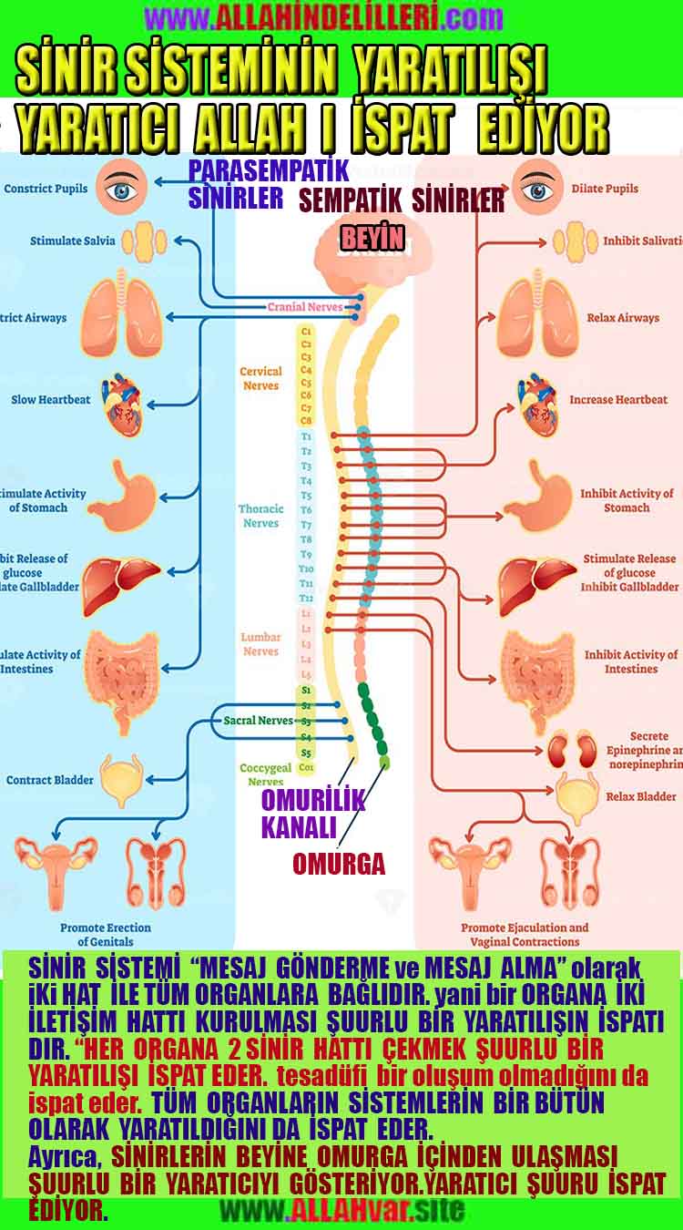 proofs of god, evidences of god