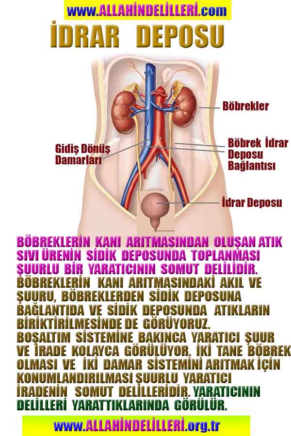 proofs of god, evidences of god