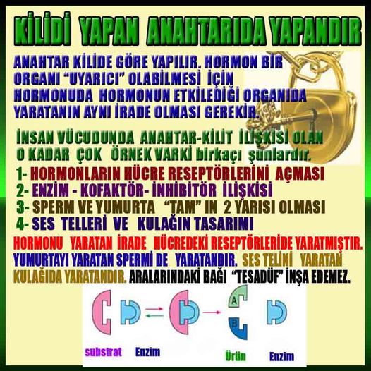 proofs of god, evidences of god