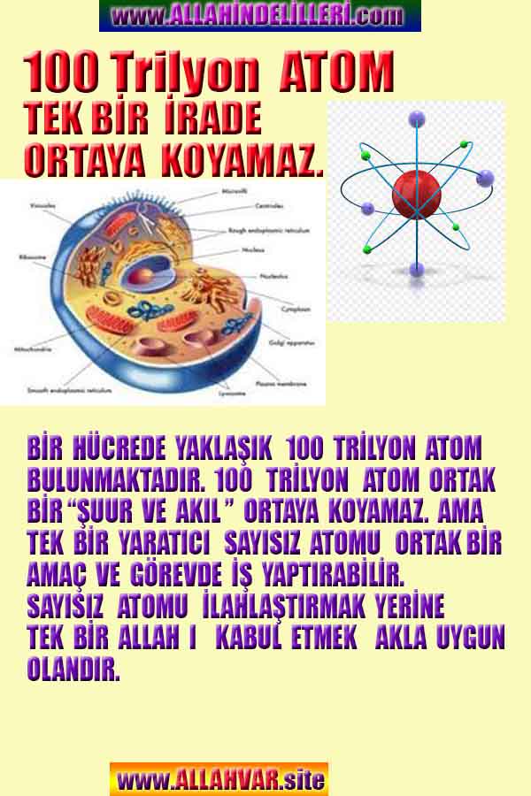 proofs of god, evidences of god