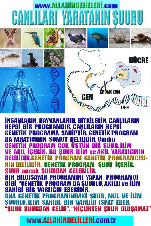 proofs of god, evidences of god